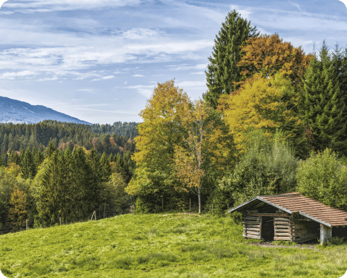 Forest landscape with mountains and a wooden cabin